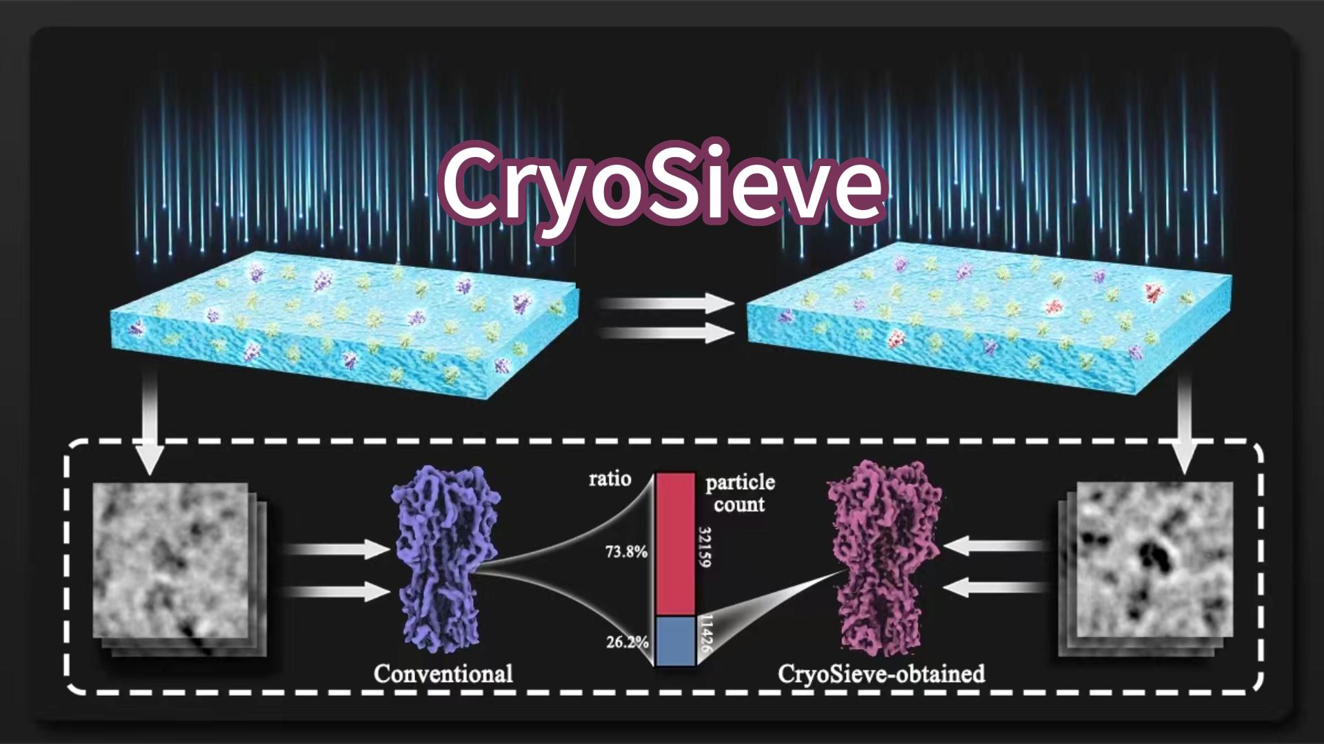 胡名旭与合作者发文详解创新算法CryoSieve使用流程：可逼近冷冻电镜重构结构所需最少颗粒数量极限