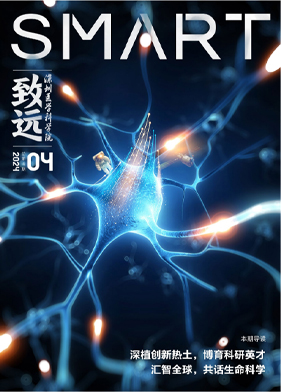 第四期
