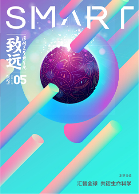 第五期