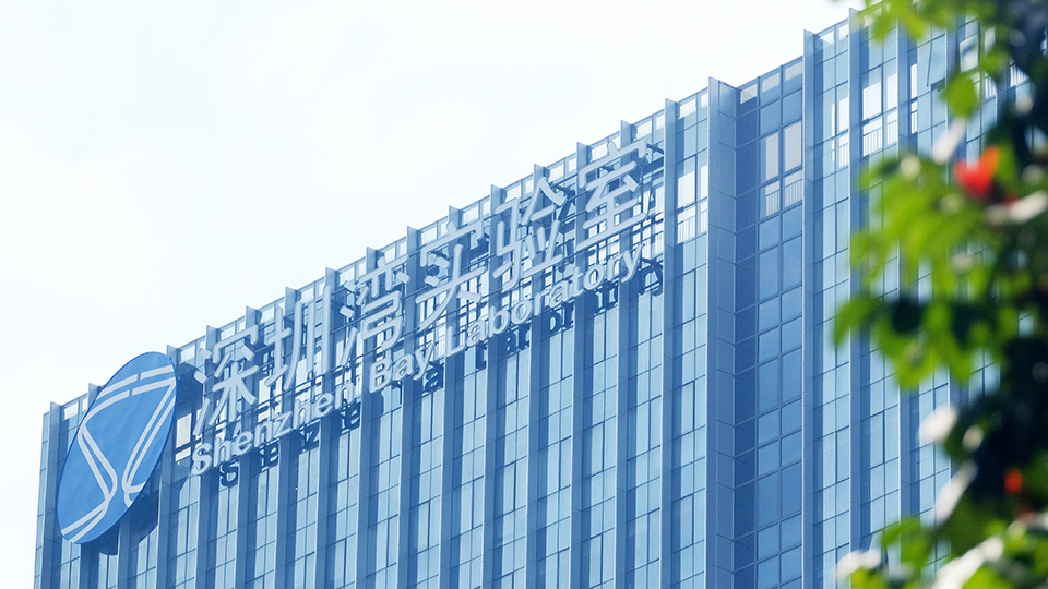 颜宁受聘兼任深圳湾实验室主任